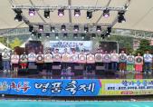 제17회 홍천 인삼.한우 명품축제 개막 사진