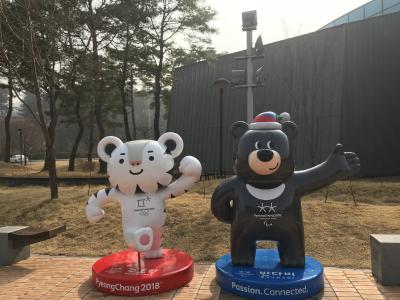 새로운 친구!  2018 평창올림픽의  수호랑과 반다비~ 사진