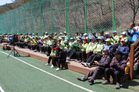제6회 홍천읍 게이트볼 분회장기 게이트볼대회 사진