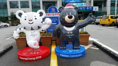 홍천읍사무소 동계올림픽 사랑 사진