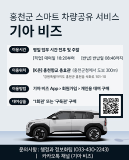 홍천군 스마트 차량공유 서비스
기아 비즈