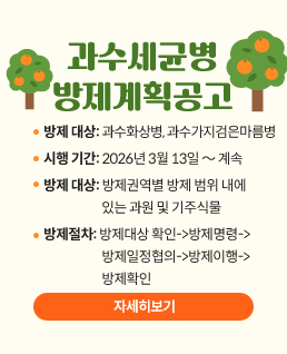 과수세균병
방제계획공고
방제 대상: 과수화상병, 과수가지검은마름병
시행 기간: 2026년 3월 13일 ～ 계속
방제 대상: 방제권역별 방제 범위 내에
	       있는 과원 및 기주식물
방제절차: 방제대상 확인->방제명령->
	       방제일정협의->방제이행->
	       방제확인 
자세히보기