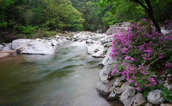 7경. 용소계곡 이미지_1