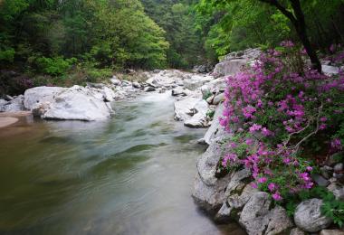 7경. 용소계곡 대표 이미지