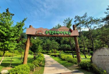 공작산 생태숲 대표 이미지