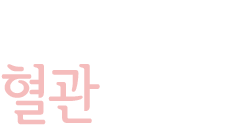 건강한 혈관이야기