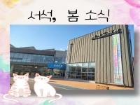 서석,  봄 소식 