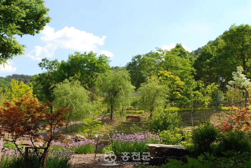 홍천무궁화수목원 의 사진