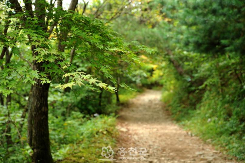 가리산휴양림 의 사진