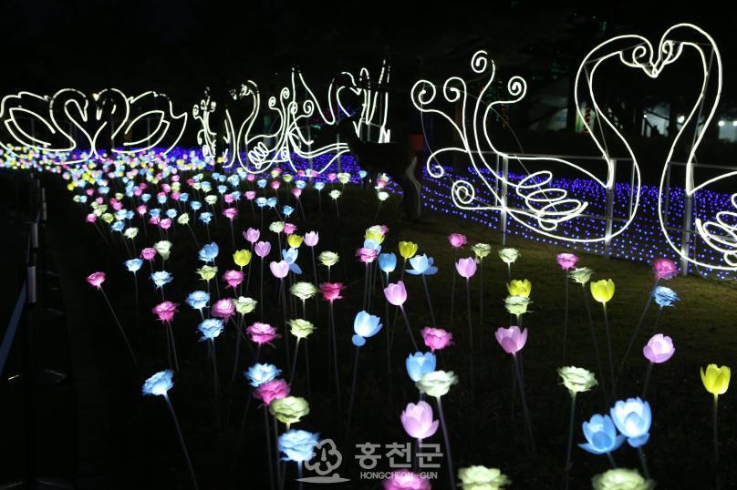 홍천 인삼한우 명품축제 의 사진