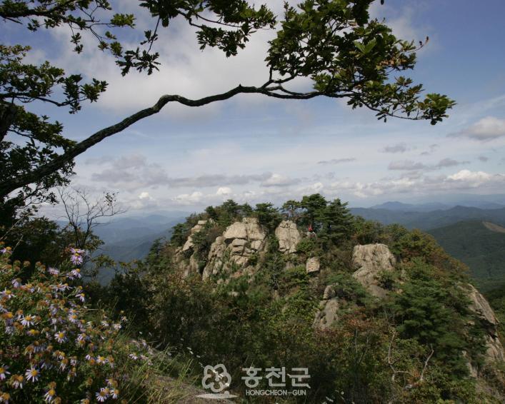 사진정보 목록 - 홍천명소 - 홍천홍보관 홍천명산 | 홍천홍보관