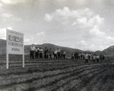 1963년 계단식전시포 사진