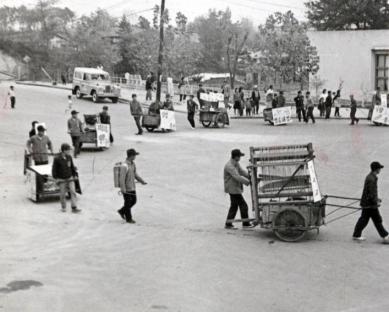 1963년 경진대회, 웅변대회 의 사진