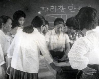 1962년 파리장 만들기 사진