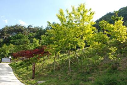 홍천무궁화수목원 의 사진