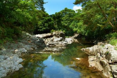 서봉사 사진