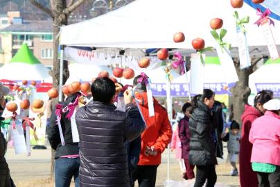 홍천사과축제 사진