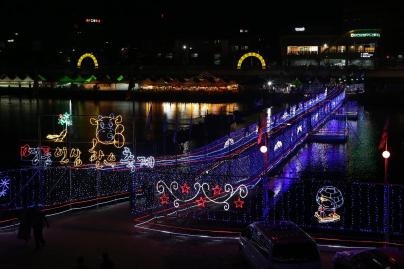 홍천 인삼한우 명품축제 의 사진