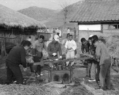 1970년 보리밭 물주기 사진