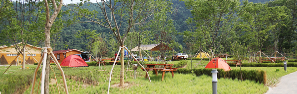 洪川江汽车露营场