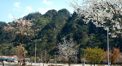 palbong mountain