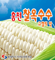 Hongcheon Waxy Corn