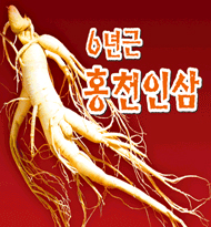 6-Year-Old Hongcheon Ginseng