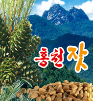 Hongcheon Pine Nuts