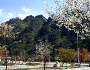 Palbong Mountain