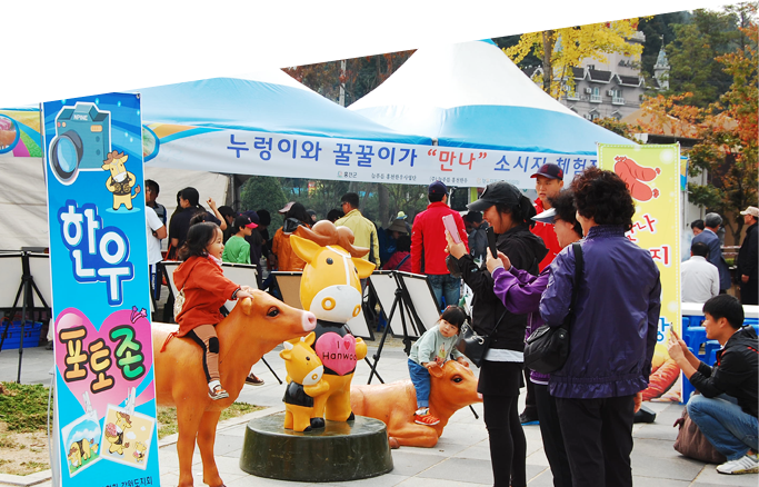 Korean Beef and Wild Vegetable Festival