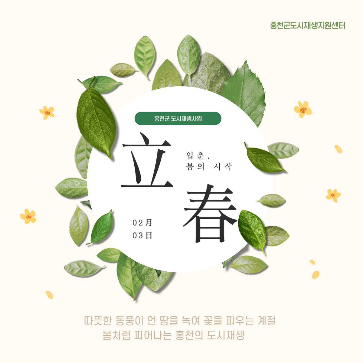 2025년 봄이 왔어요