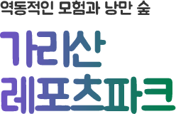 역동적인 모험과 낭만 숲 가리산 레포츠파크