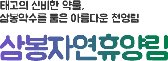 태고의 신비한 약물, 삼봉약수를 품은 아름다운 천영림 삼봉자연휴양림